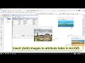 Insert (Add) images to attribute table in ArcGIS