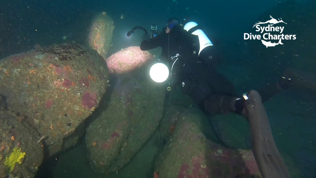Scuba diving Sydney dive Doubt Reef best offshore dive site