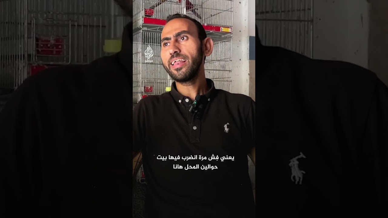 رغم ويلات الحرب.. فلسطيني لم يفقد شغفه بتربية العصافير