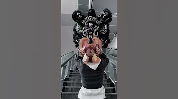 Lấy đầu lân nhỏ nhưng bị lân đen chặn