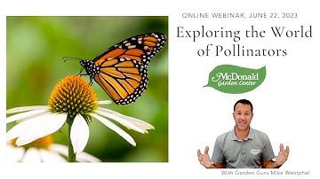 Exploring the World of Pollinators