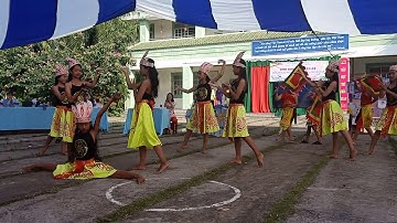 Dòng máu lạc hồng ( 6/1 + 6/2 )