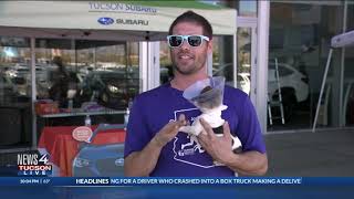 KVOA 4 News Segment: HSSAZ and Tucson Subaru Unites a Community to Give Rescued Dogs a Second Chance