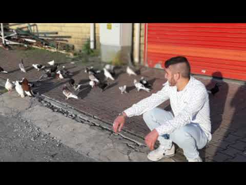 الفنان حسين الفرج يا فلان ليش حب مو صدق 