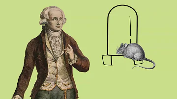 Comment expliquer la citation de Lavoisier ?