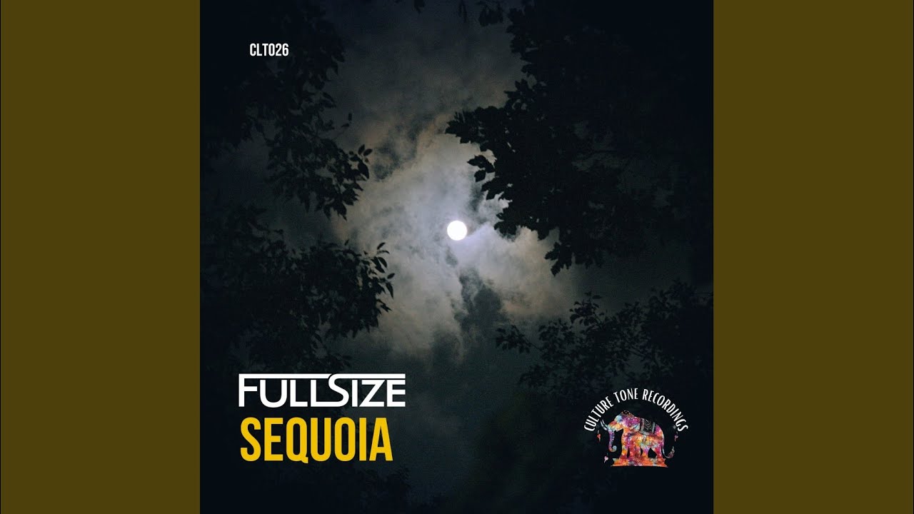 Watch Sequoia on YouTube Watch Sequoia on YouTube