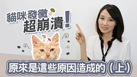 【貓咪發黴超崩潰，原來是這些原因造成的（上）】 - 天天要聞