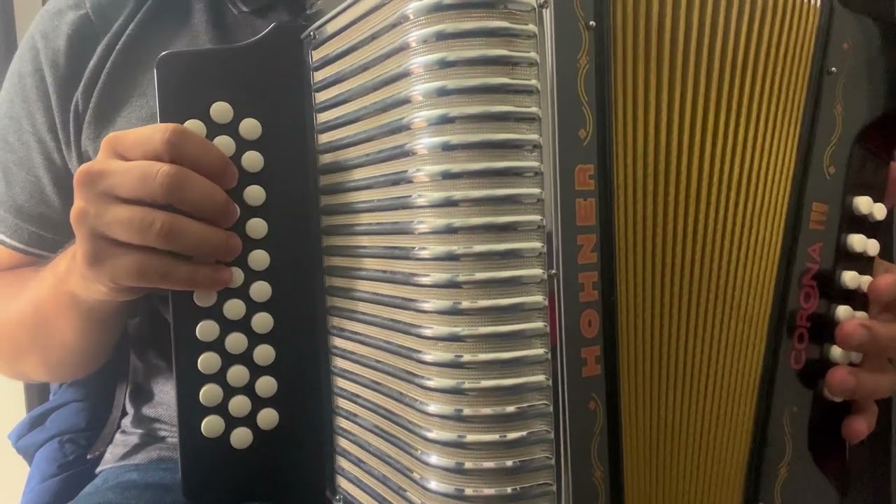 Cómo Acompañar canciones sencillas? ,Armonización de la Escala Mayor | Clases de Acordeón|Carlos Rey