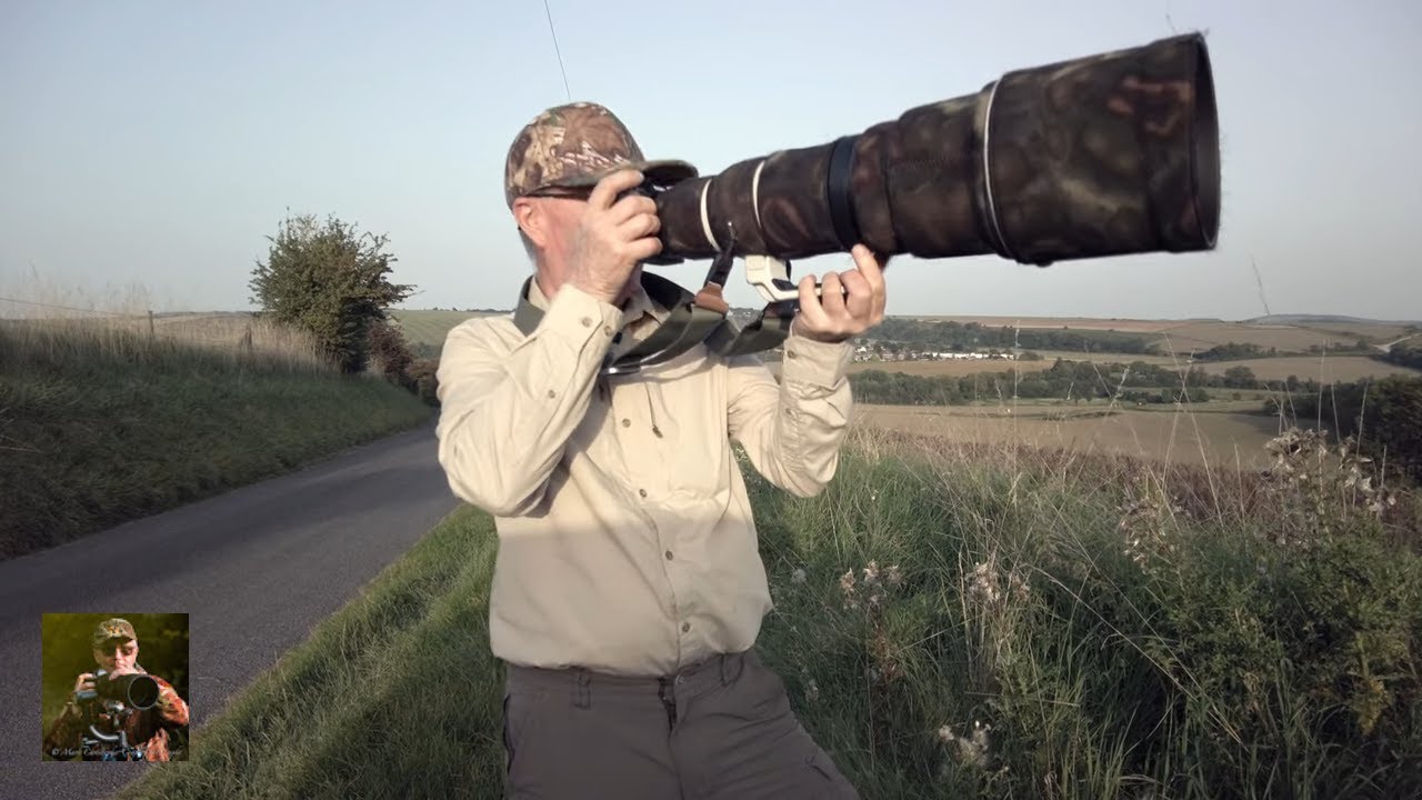 Wildlife Photography At Sunset By Camilla & I