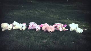 Webkinz Stop-motion MV-Dancing In The Dark ✔