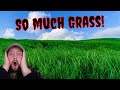 The First MEGA GRASS field!