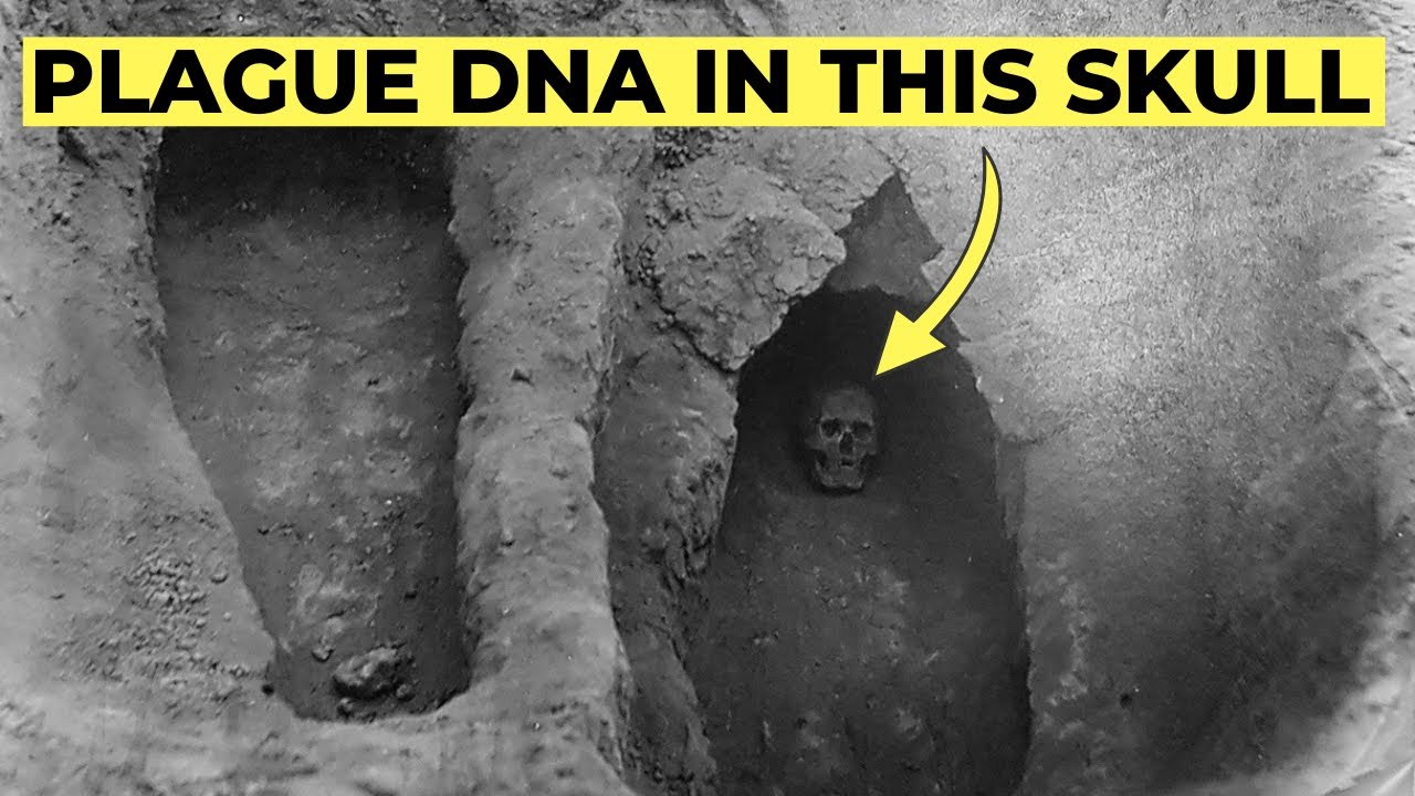 Ancient DNA Finally Uncovers the REAL Origin of the Black Death