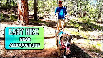 EASY hike in the Sandias |  The Great Hiking Area that only Locals Know About!