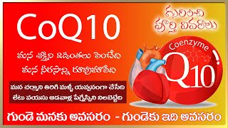 CoQ10 uses & benefits in telugu screenshot 4