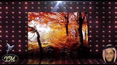 103 سورة العصر كاملة للقارئ الشيخ هاني الرفاعي