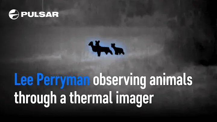 Observing animals through a thermal imager | Lee P...