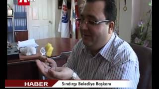 Sındırgı Belediye Başkanı Özgür Ertuğrul, Taylandtan Getirdiği Tohum İle İlçede Sarı Karpuz Yetiştirdi