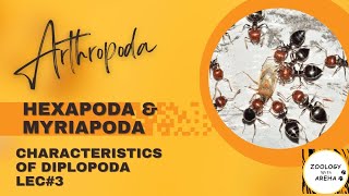 Sub-phylum Hexapoda & Myriapoda (class Diplopoda) | Miller and Harley|