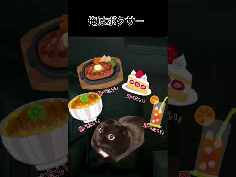 突然の猫ミーム 』オリジナル動画付きエディション 毎週ショート