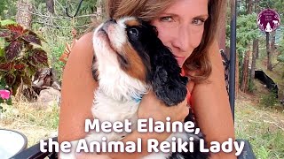 Meet Elaine, The Animal Reiki Lady™