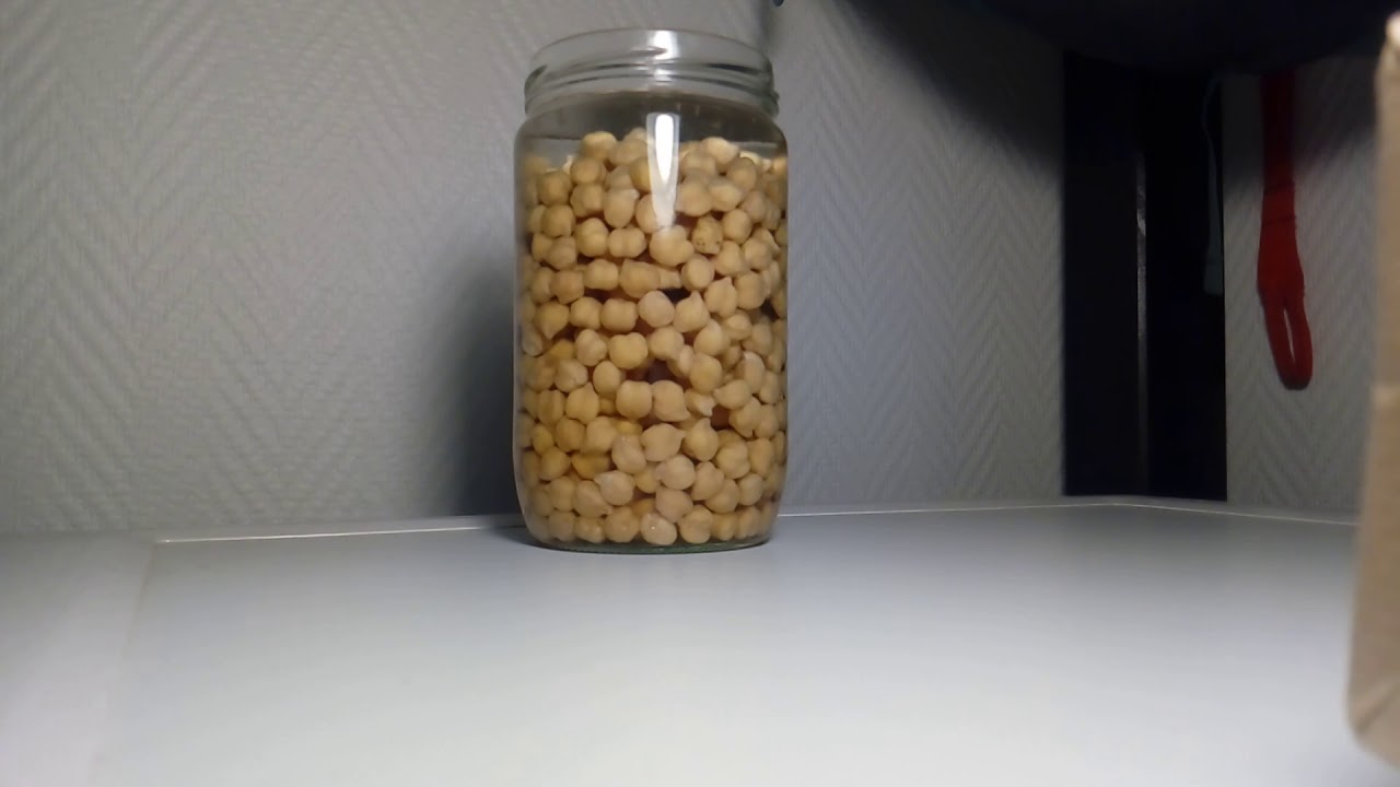 Garbanzo beans (chickpeas) soaking overnight in water (11 hours in one
