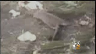 Trash Piling Up In New Kensington, Attracting Unwanted Pests