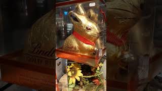 Giant Lindt Gold Bunny! 🐰🐇 #SHORTS