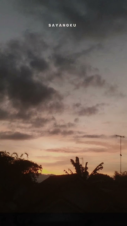 Samar - Masdddho #storywa #liriklagu #masdddho #samar #trendingshorts #viralshorts #fypyoutube