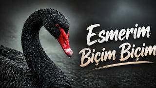 Esmerim Biçim Biçim - Appo (Deep House) 🦢