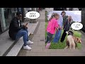 Different ways people react to a Huge Husky in Public