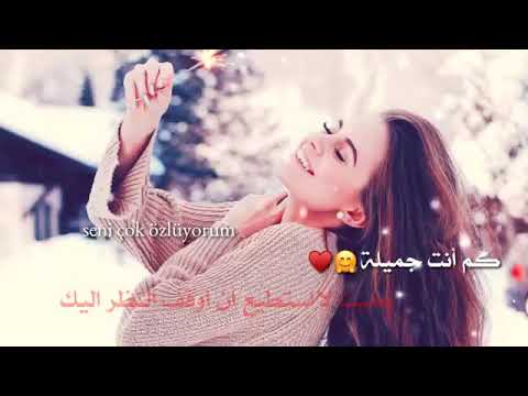كم انتي جميله غنيه تركية مترجمة  حالات