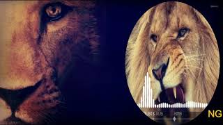 ALEX & RUS - Дикая львица ORGINAL SONG| Tik tok Lion Song | ALEX & RUS ДИКАЯ ЛЬВИЦА Music version