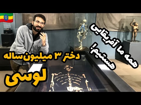 در موزه ملی اتیوپی به دیدار لوسی رفتم اسکلت یک دختر سه میلیون ساله 
