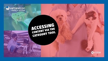 Accessing Content via the Category Tool