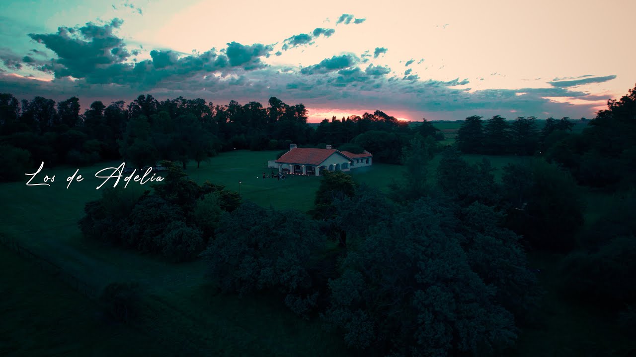 Ave de luz - Los de Adelia - Cover