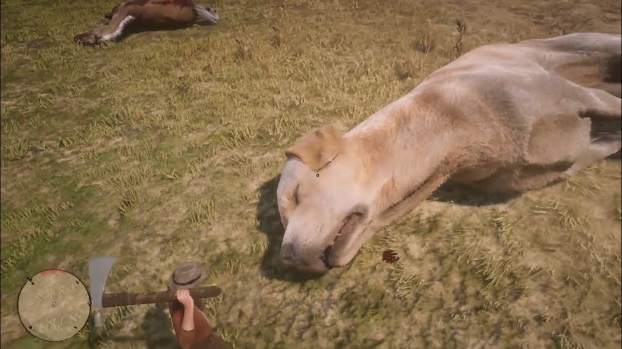 RDR2 Hunting all giant dogs in the ranch YouTube
