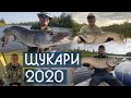 Щукари 2020. Щуки Юрского периода и рыбалка на джеркбейты. Monster pike fishing. DF 61. ENG SUB