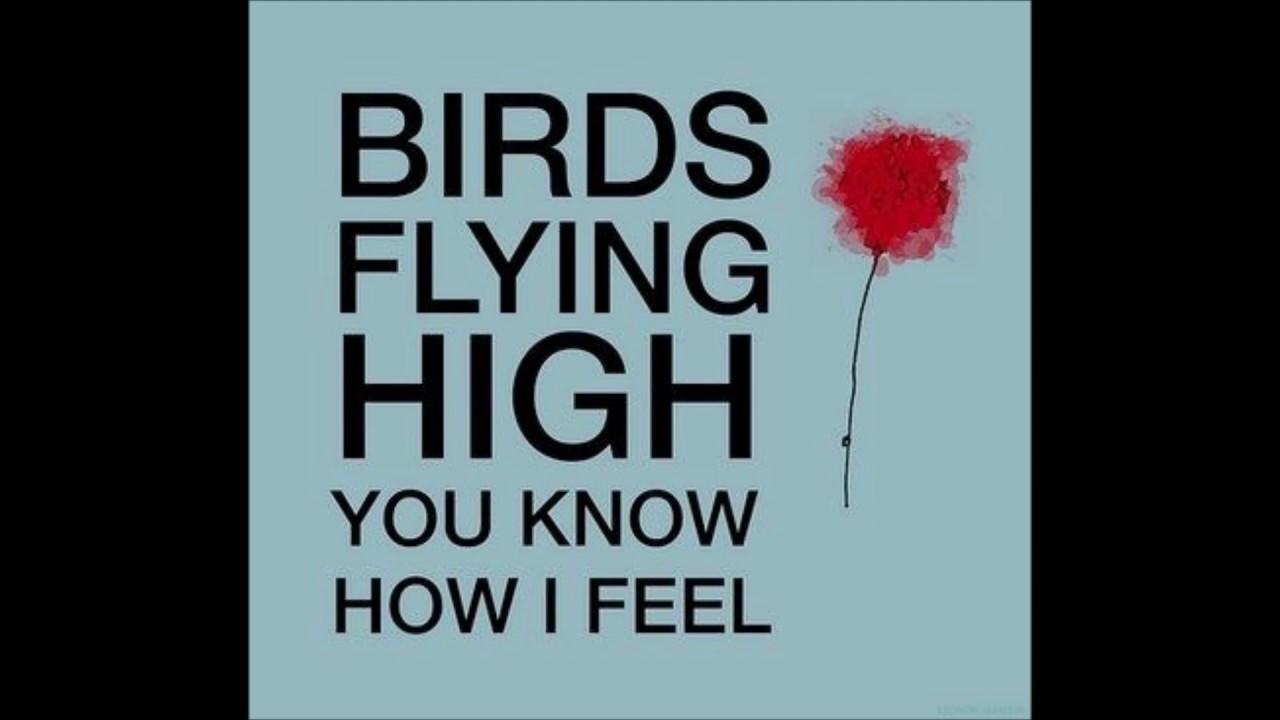 With her i feel better. Birds Flying High you know how i feel. Quotes about Music. How i feel текст. Inspiration Music quote.