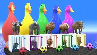 Slide Adventure with Tiger Elephant Hippo Rhino - 3D Animals Game screenshot 2