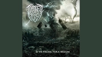 Reflection Psychotic Of Human Conception