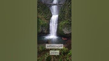 سورة الكهف. المال والبنون زينة الحياة الدنيا