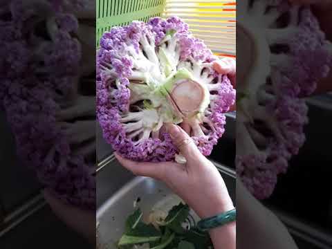 西蘭花英文發音 Broccoli是什么意思 Broccol 1 健康跟著走 西蘭花英文發音 Broccoli是什么意思 Broccol 1 健康跟著走