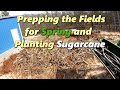 Prepping the Fields for our Spring Garden and Planting Sugarcane