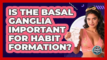 Is The Basal Ganglia Important For Habit Formation? - Habit Hacks Hub