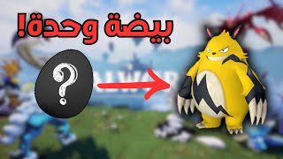 PalWorld | تحدي أقتل البوس بأول بيضة أحصلها!