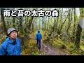 【NZ車中泊⑥】まるで映画の世界！苔むす太古の原生林と電波ゼロの極寒サバイバル
