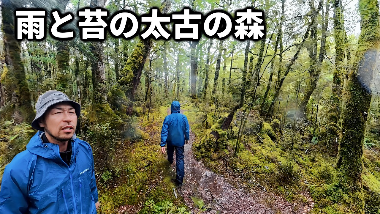【NZ車中泊⑥】まるで映画の世界！苔むす太古の原生林と電波ゼロの極寒サバイバル