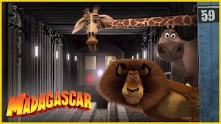 DreamWorks Madagascar en Español Latino | Escape de Nueva York | Dibujos animados para niños