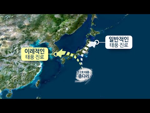 소나기 이어 태풍 종다리 단비 뿌릴까 가능성은 연합뉴스TV YonhapnewsTV 