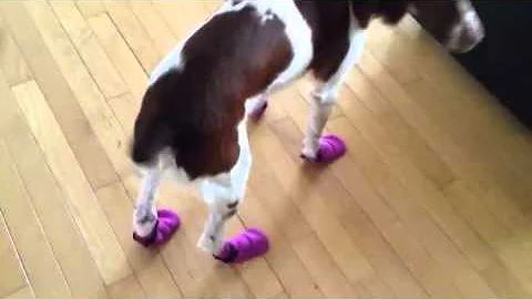 Mirka et ses chaussures